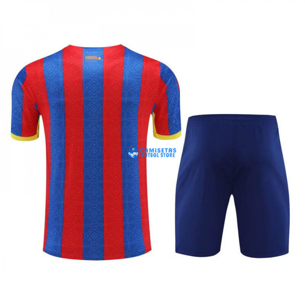Camiseta de Entrenamiento Barcelona 2023/2024 Rojo/Azul/Amarillo - Imagen 3