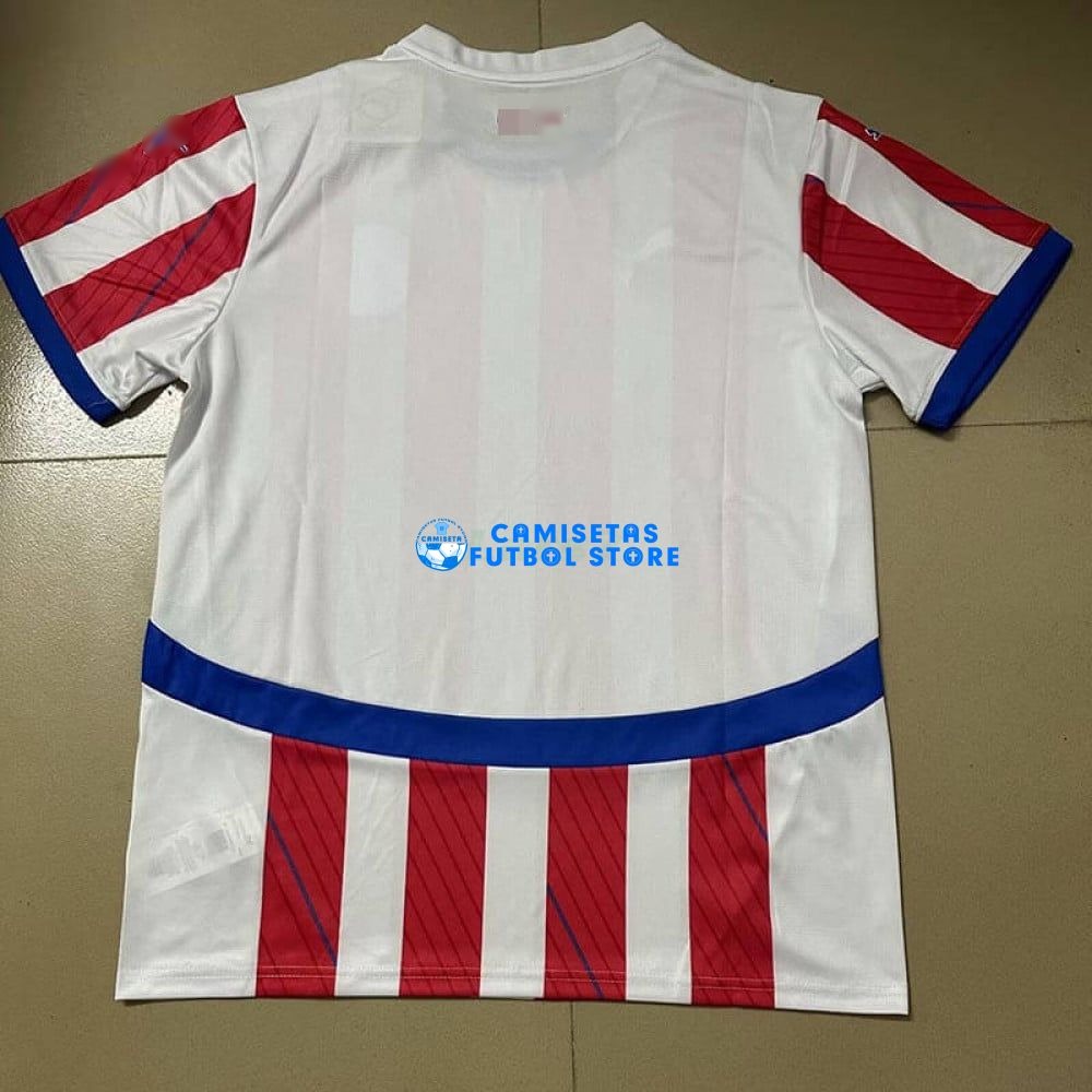 Camiseta Paraguay 1ª Equipación 2024 - Imagen 3