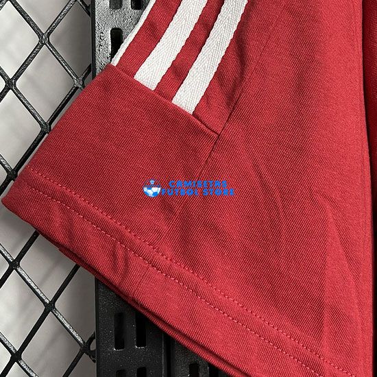 Camiseta España Casual Equipación 2024/2025 - Imagen 5