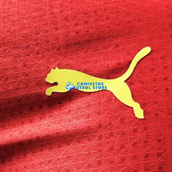 Camiseta Marruecos 1ª Equipación 2024/2025 (EDICIÓN JUGADOR) - Imagen 2