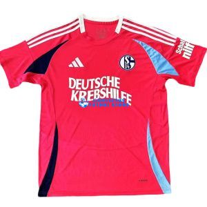 Schalke 04 2024/2025 Camiseta de la S2 equipación