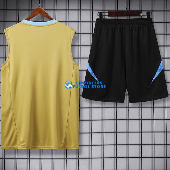 Camiseta Argentina Sin Mangas 24-25 Oro - Imagen 2