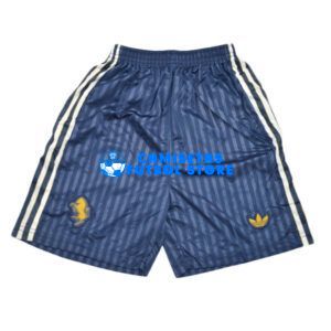 Juventus 2025/2026 Pantalones de la Especial equipación