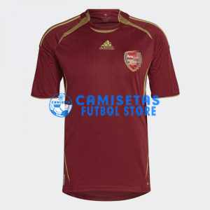 Camiseta Arsenal Teamgeist 2021/2022