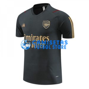 Camiseta de Entrenamiento Arsenal 2023/2024 Gris Oscuro