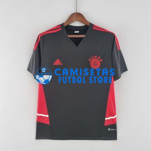 Camiseta de Entrenamiento Bayern Múnich 2022/2023 Negro/Rojo