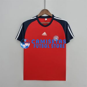 Camiseta de Entrenamiento Bayern Múnich 2022/2023 Rojo/Azul