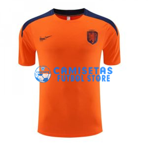 Camiseta de Entrenamiento Holanda 2023 Naranja
