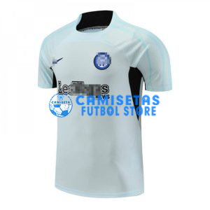 Camiseta de Entrenamiento Inter De Mlian 2023/2024 Gris Claro