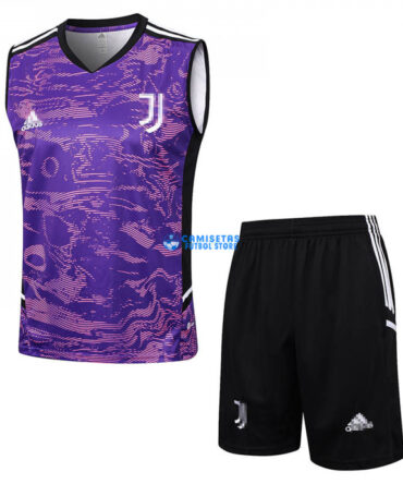 Camiseta de Entrenamiento Juventus Sin Mangas 2023/2024 Kit Morado