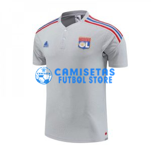 Camiseta de Entrenamiento Olympique Lyon 2023/2024 Gris