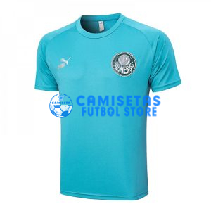 Camiseta de Entrenamiento Palmeiras 2023/2024 Azul