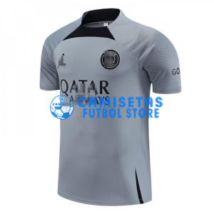 Camiseta de Entrenamiento PSG 2023/2024 Gris