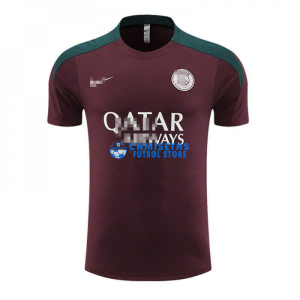 Camiseta de Entrenamiento PSG 2023/2024 Rojo Oscuro