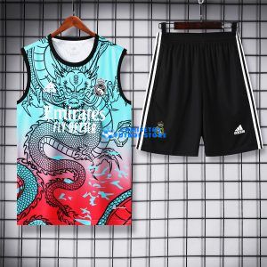 Camiseta de fútbol sin mangas Real Madrid 24-25 azul