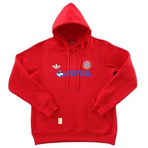 Sudadera Bayern 2024-2025 S1